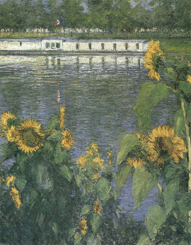 Gustave Caillebotte The sunflowers of waterside Sweden oil painting art